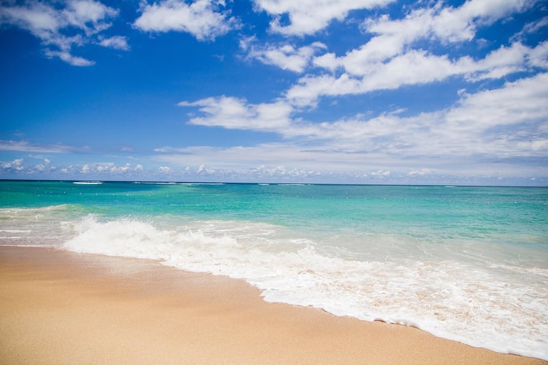 Beach Paradise